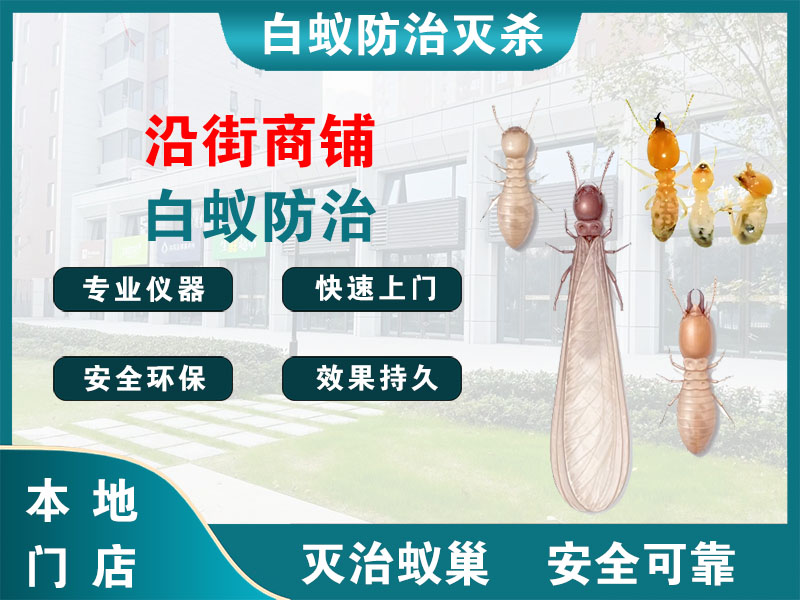 溧阳市沿街商铺白蚁防治