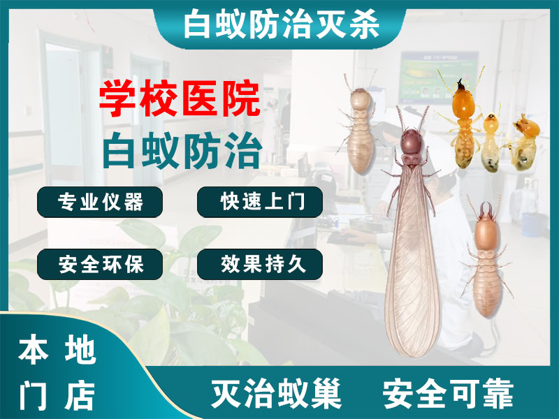 溧阳市学校医院白蚁防治