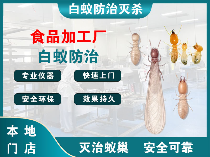 溧阳市食品加工厂白蚁防治