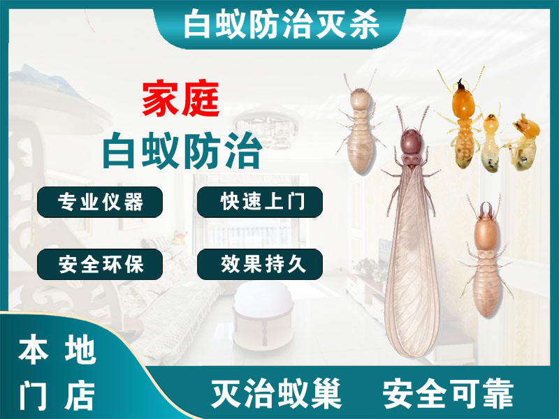 溧阳市家庭白蚁防治