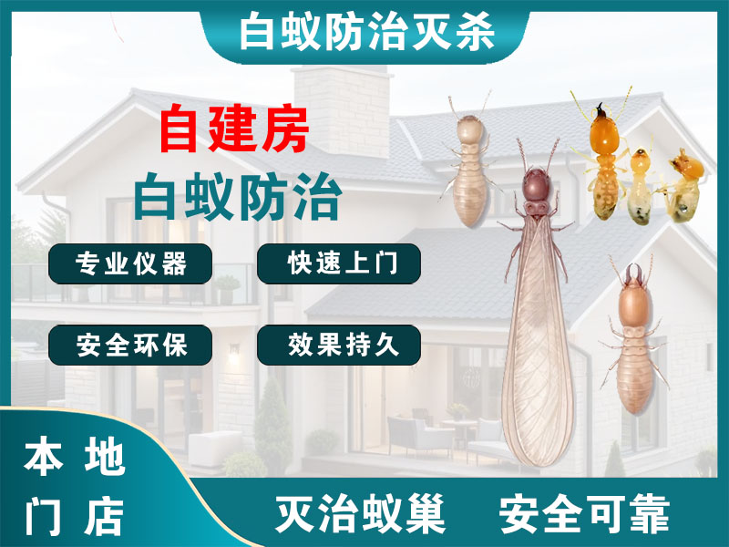 溧阳市自建房白蚁防治