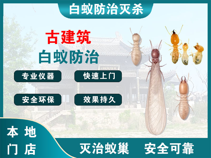 溧阳市古建筑白蚁防治