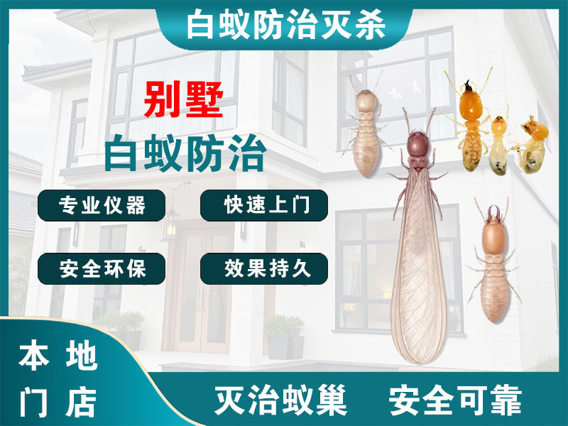 溧阳市别墅白蚁防治