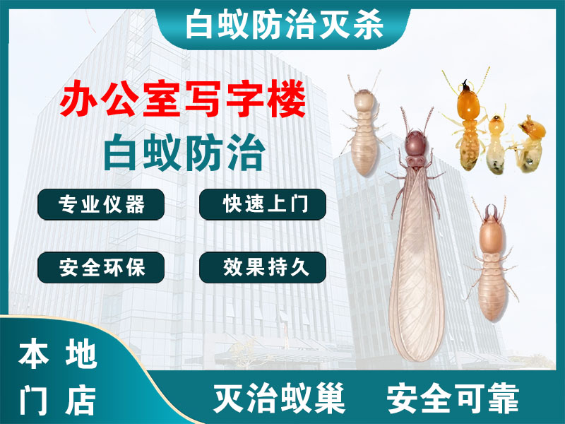 溧阳市办公室写字楼白蚁防治