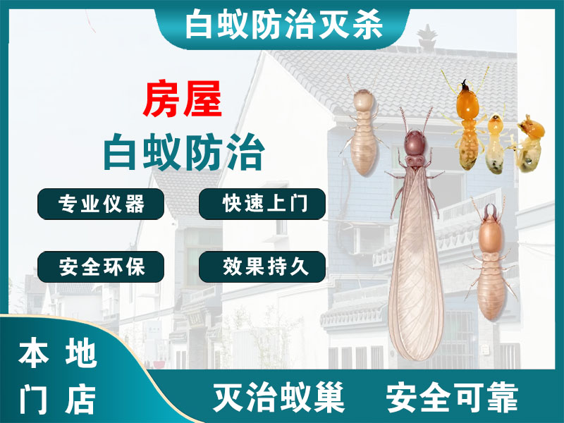 溧阳市房屋白蚁防治
